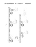 Leishmania Challenge Model diagram and image