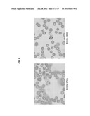 Leishmania Challenge Model diagram and image