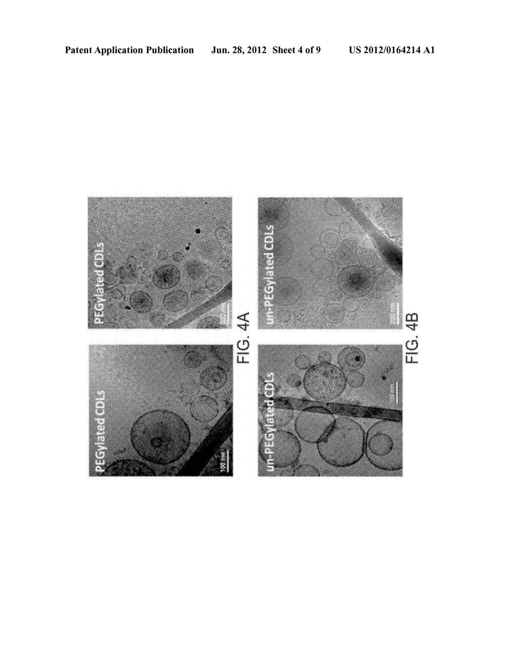 LIPOSOMAL COMPOSITIONS AND USES OF SAME - diagram, schematic, and image 05