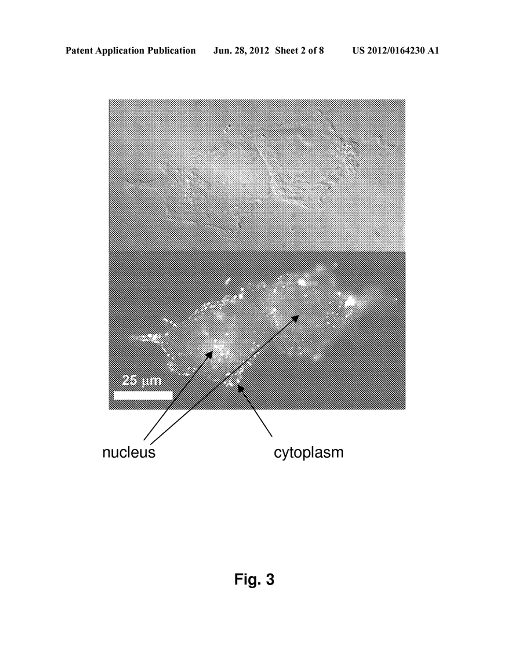 Soluble Nanoparticles as Delivery Systems for Prodrugs - diagram, schematic, and image 03