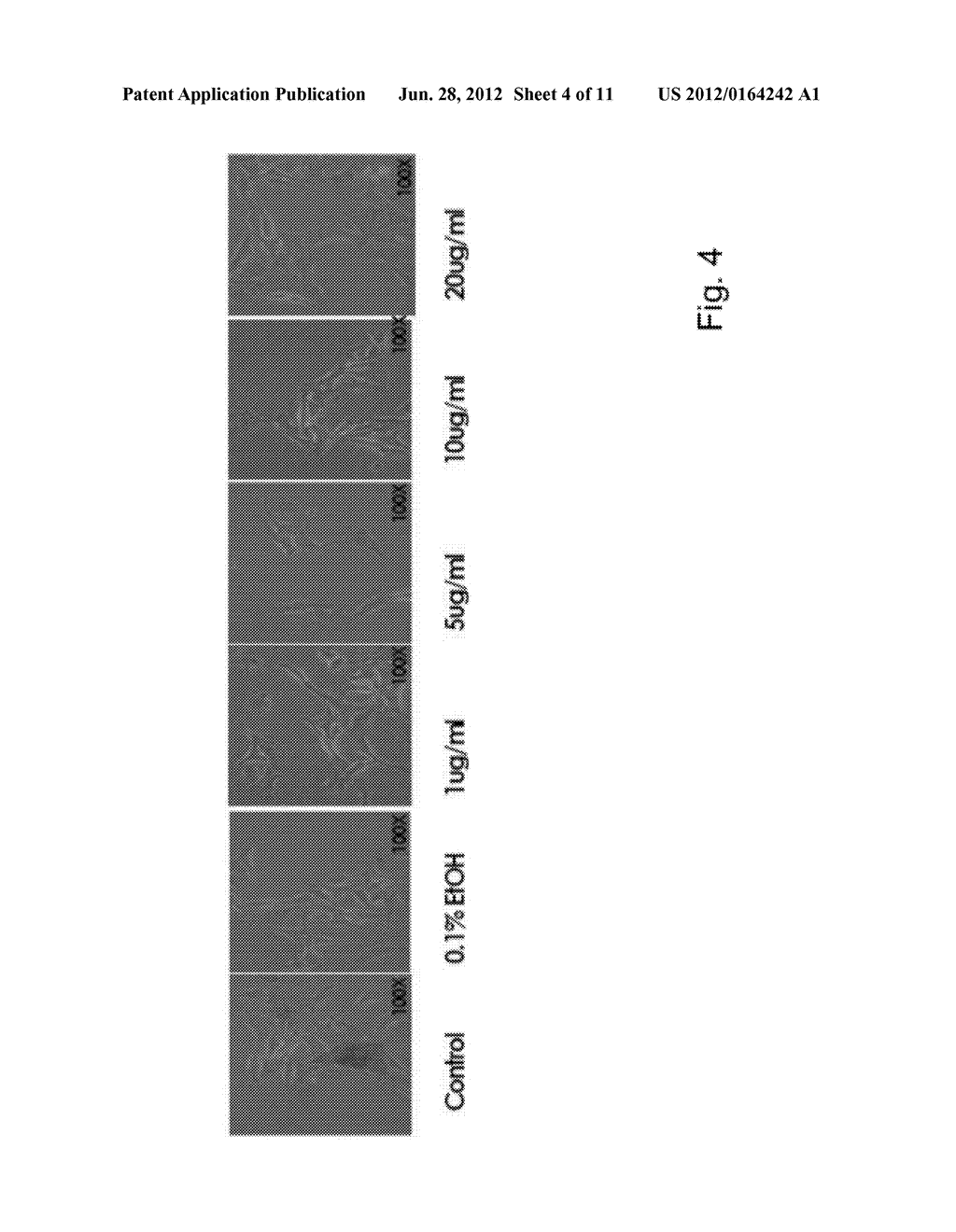 NOVEL METHODS FOR MODULATING MELANIN PRODUCTION - diagram, schematic, and image 05