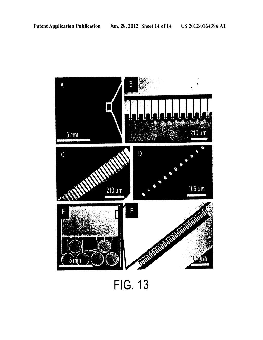 MATRIX ASSISTED INK TRANSPORT - diagram, schematic, and image 15