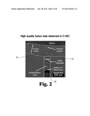 CERAMIC WELDS, AND A METHOD FOR PRODUCING THE SAME diagram and image