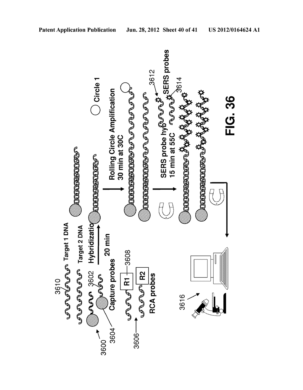 SERS Nanotag Assays - diagram, schematic, and image 41