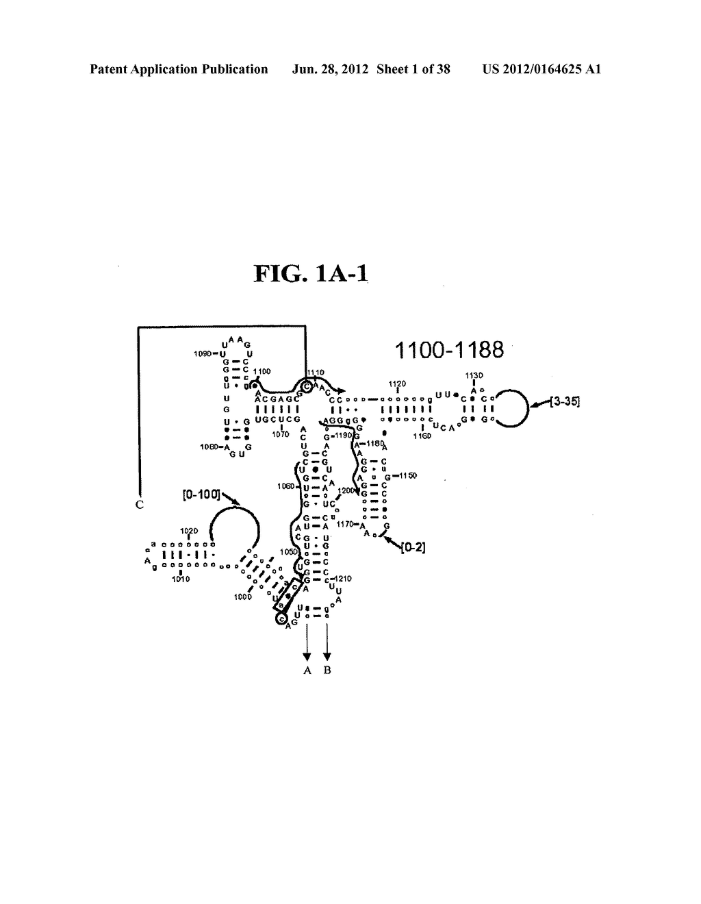 METHODS FOR RAPID IDENTIFICATION OF PATHOGENS IN HUMANS AND ANIMALS - diagram, schematic, and image 02