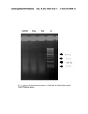 Integrated Versatile and Systems Preparation of Specimens diagram and image