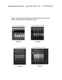 Integrated Versatile and Systems Preparation of Specimens diagram and image