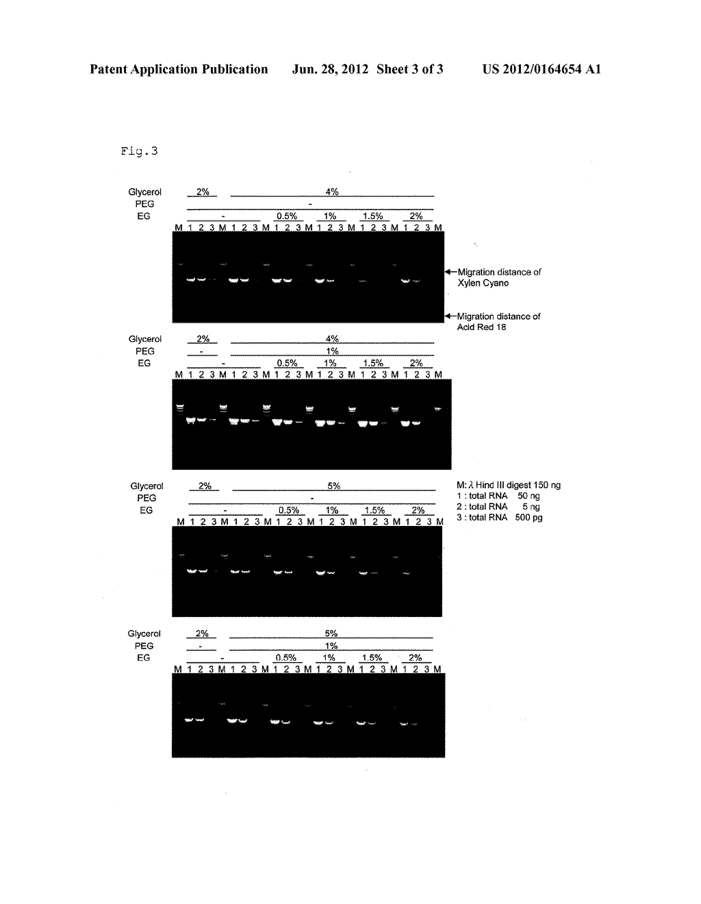 COMPOSITION FOR REVERSE TRANSCRIPTION POLYMERASE CHAIN REACTION - diagram, schematic, and image 04