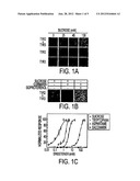 T1R TASTE RECEPTORS AND GENES ENCODING SAME diagram and image