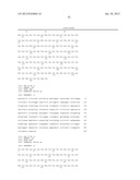 T1R TASTE RECEPTORS AND GENES ENCODING SAME diagram and image