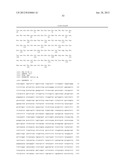 T1R TASTE RECEPTORS AND GENES ENCODING SAME diagram and image