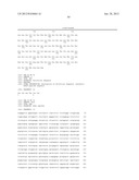 T1R TASTE RECEPTORS AND GENES ENCODING SAME diagram and image