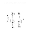 DEVICES AND WASHES FOR BIOMARKER STABILIZATION diagram and image