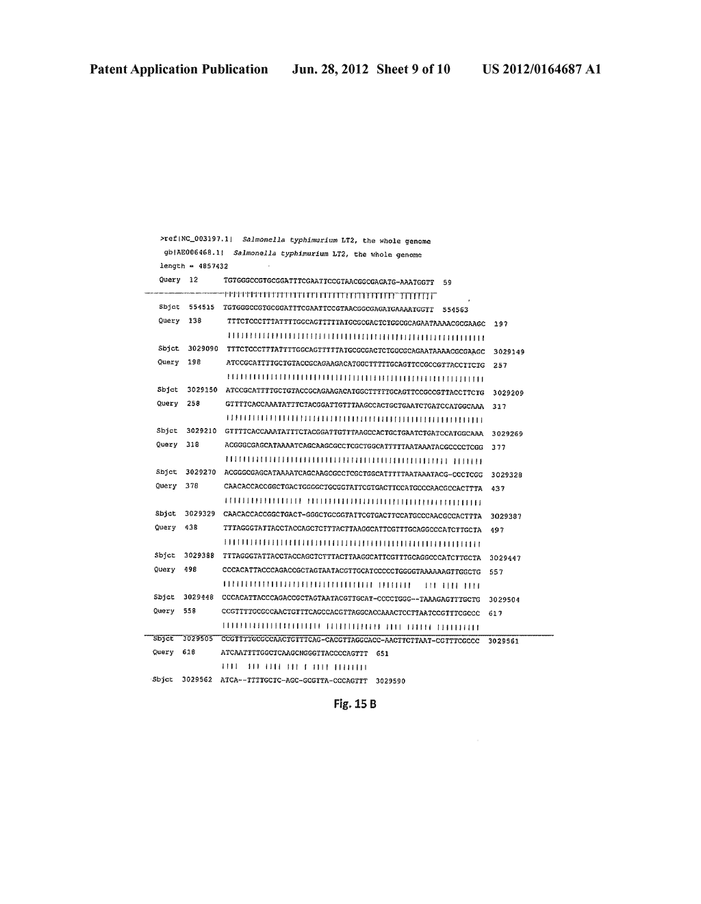 NEW STRAIN OF SALMONELLA ENTERICA S. TYPHIMURIUM, ITS USE AND A METHOD TO     OBTAIN A THERAPEUTIC VACCINE VECTOR - diagram, schematic, and image 10