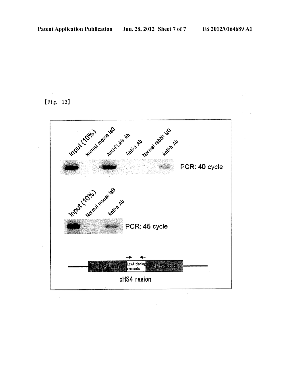 METHOD FOR ISOLATING SPECIFIC GENOMIC REGIONS - diagram, schematic, and image 08