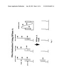 METHODS OF ENZYMATIC DISCRIMINATION ENHANCEMENT AND SURFACE-BOUND     DOUBLE-STRANDED DNA diagram and image