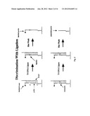 METHODS OF ENZYMATIC DISCRIMINATION ENHANCEMENT AND SURFACE-BOUND     DOUBLE-STRANDED DNA diagram and image