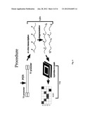 METHODS OF ENZYMATIC DISCRIMINATION ENHANCEMENT AND SURFACE-BOUND     DOUBLE-STRANDED DNA diagram and image