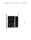 METHODS OF ENZYMATIC DISCRIMINATION ENHANCEMENT AND SURFACE-BOUND     DOUBLE-STRANDED DNA diagram and image