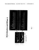 METHODS OF ENZYMATIC DISCRIMINATION ENHANCEMENT AND SURFACE-BOUND     DOUBLE-STRANDED DNA diagram and image