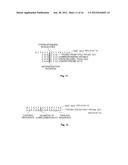 METHODS OF ENZYMATIC DISCRIMINATION ENHANCEMENT AND SURFACE-BOUND     DOUBLE-STRANDED DNA diagram and image