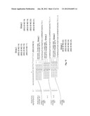 METHODS OF ENZYMATIC DISCRIMINATION ENHANCEMENT AND SURFACE-BOUND     DOUBLE-STRANDED DNA diagram and image