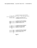 METHODS OF ENZYMATIC DISCRIMINATION ENHANCEMENT AND SURFACE-BOUND     DOUBLE-STRANDED DNA diagram and image