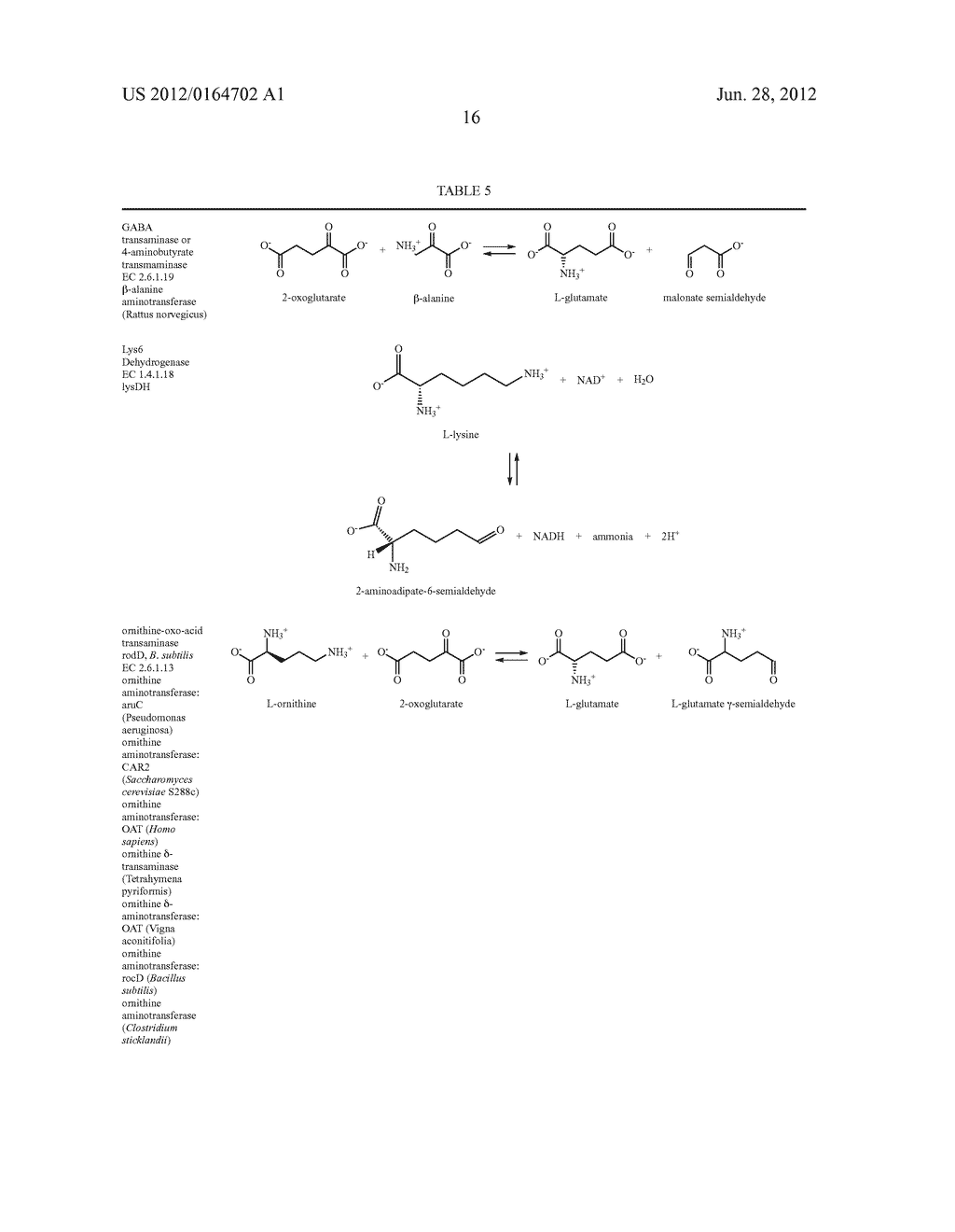 BIOLOGICAL SYNTHESIS OF DIFUNCTIONAL ALKANES FROM CARBOHYDRATE FEEDSTOCKS - diagram, schematic, and image 23