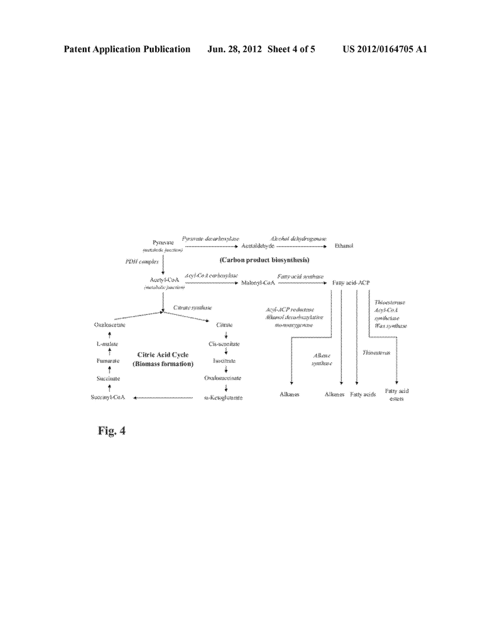 Metabolic Switch - diagram, schematic, and image 05