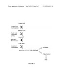 GENETICALLY ENGINEERED MICROORGANISMS COMPRISING 4-HYDROXYBENZOYL-COA     THIOESTERASES AND METHODS OF USING THE SAME FOR PRODUCING FREE FATTY     ACIDS AND FATTY ACID DERIVATIVES diagram and image