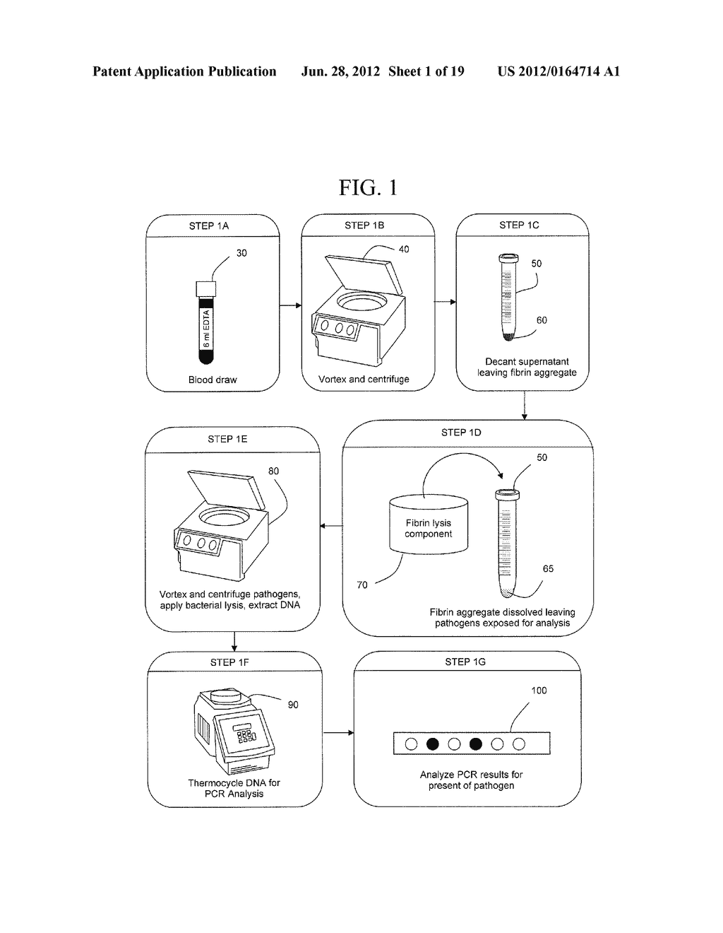 Post Protein Hydrolysis Removal of a Potent Ribonuclease Inhibitor and the     Enzymatic Capture of DNA - diagram, schematic, and image 02