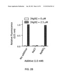 FLUORESCENT CHEMODOSIMETERS FOR MERCURY IONS BASED ON THE OXYMERCURATION     OF VINYL ETHERS diagram and image