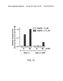 FLUORESCENT CHEMODOSIMETERS FOR MERCURY IONS BASED ON THE OXYMERCURATION     OF VINYL ETHERS diagram and image