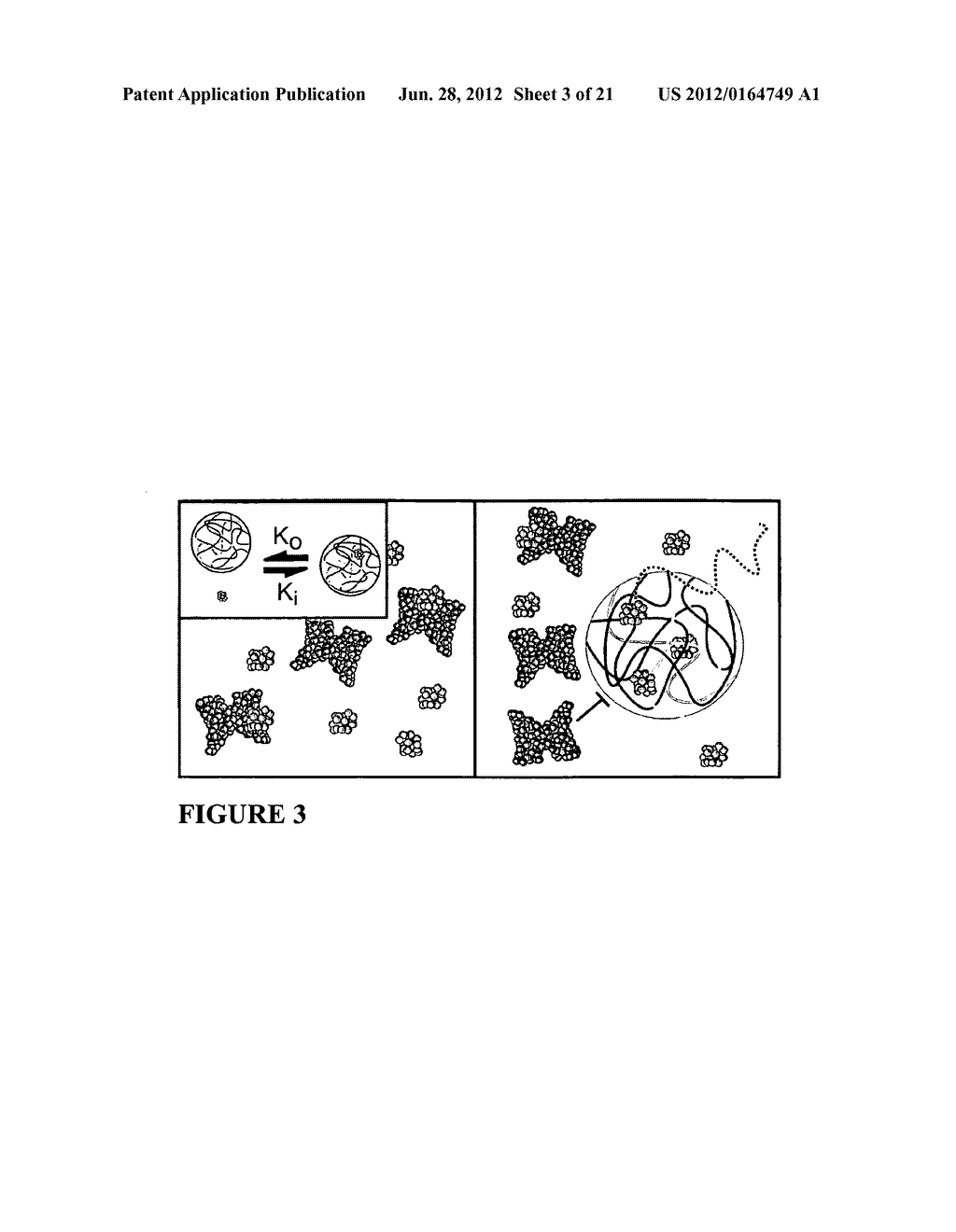 Smart Hydrogel Particles for Biomarker Harvesting - diagram, schematic, and image 04