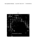 DOPED CATALYTIC CARBONACEOUS COMPOSITE MATERIALS AND USES THEREOF diagram and image