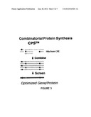 SIMULTANEOUS, INTEGRATED SELECTION AND EVOLUTION OF ANTIBODY/PROTEIN     PERFORMANCE AND EXPRESSION IN PRODUCTION HOSTS diagram and image