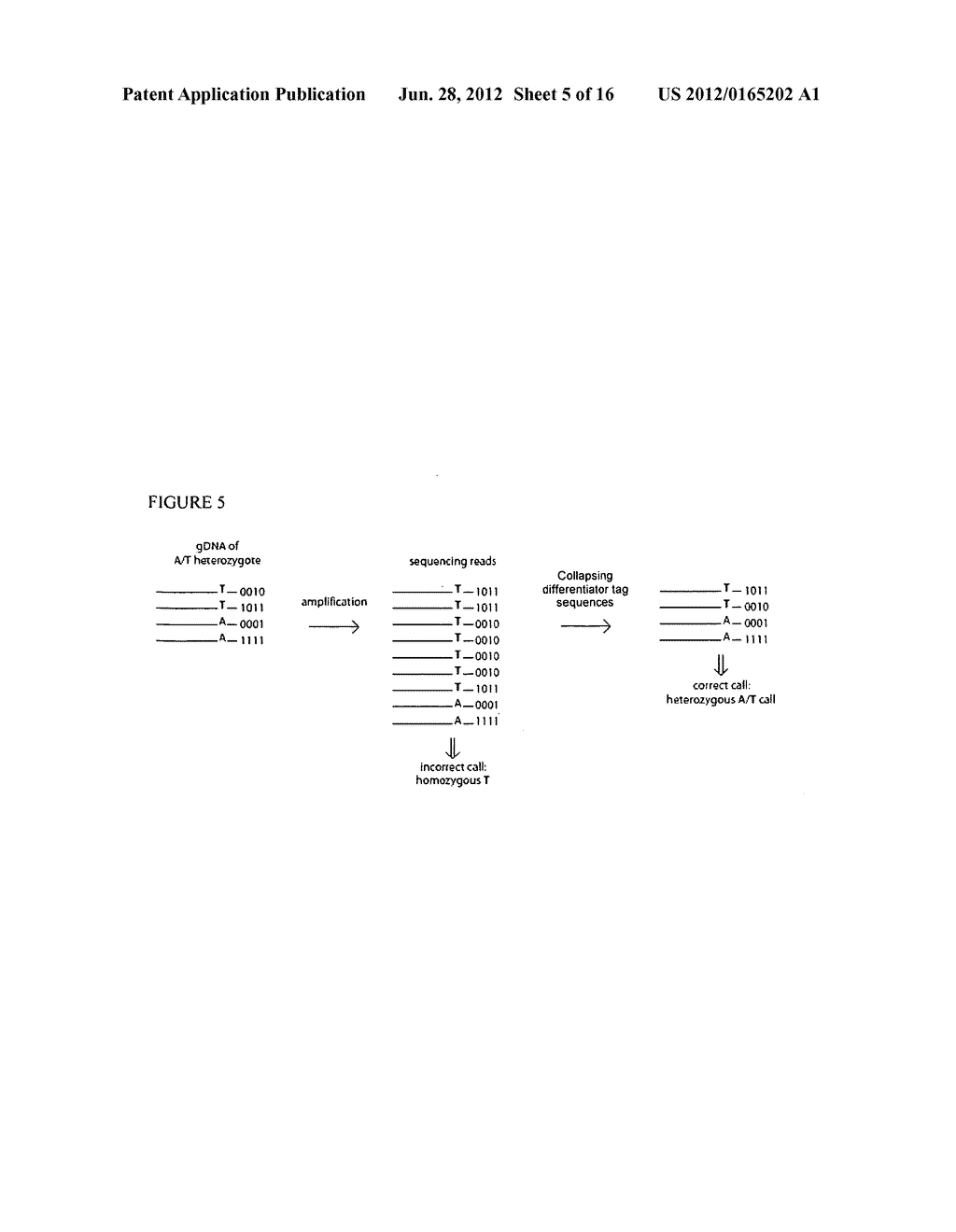 METHODS AND COMPOSITIONS FOR EVALUATING GENETIC MARKERS - diagram, schematic, and image 06