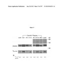 Human Antibodies Cross-Reacting With A Bacterial And A Self Antigen From     Atherosclerotic Plaques diagram and image