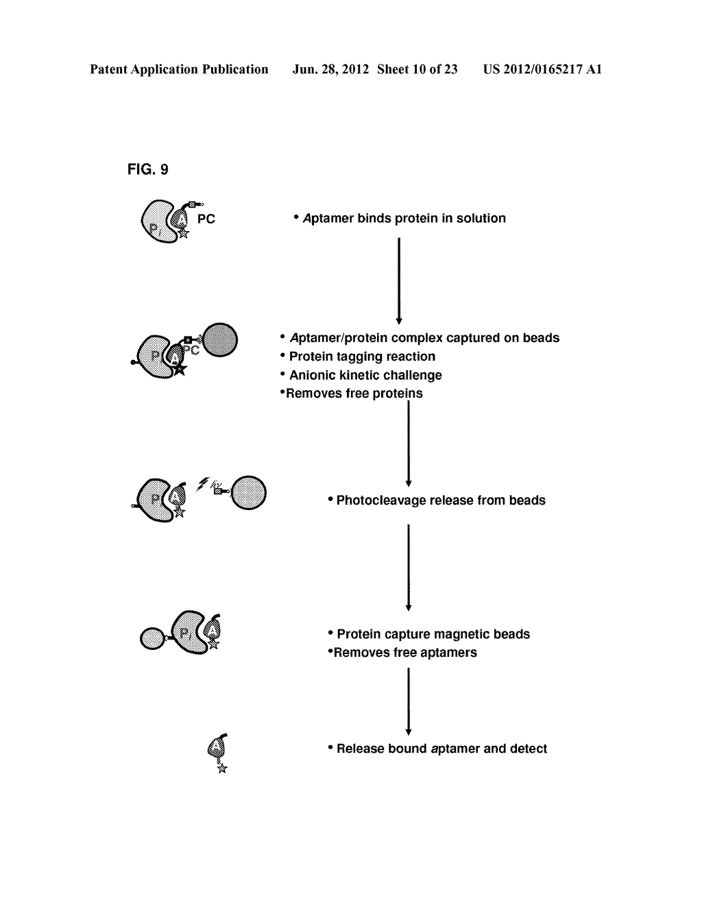 Cancer Biomarkers and Uses Thereof - diagram, schematic, and image 11