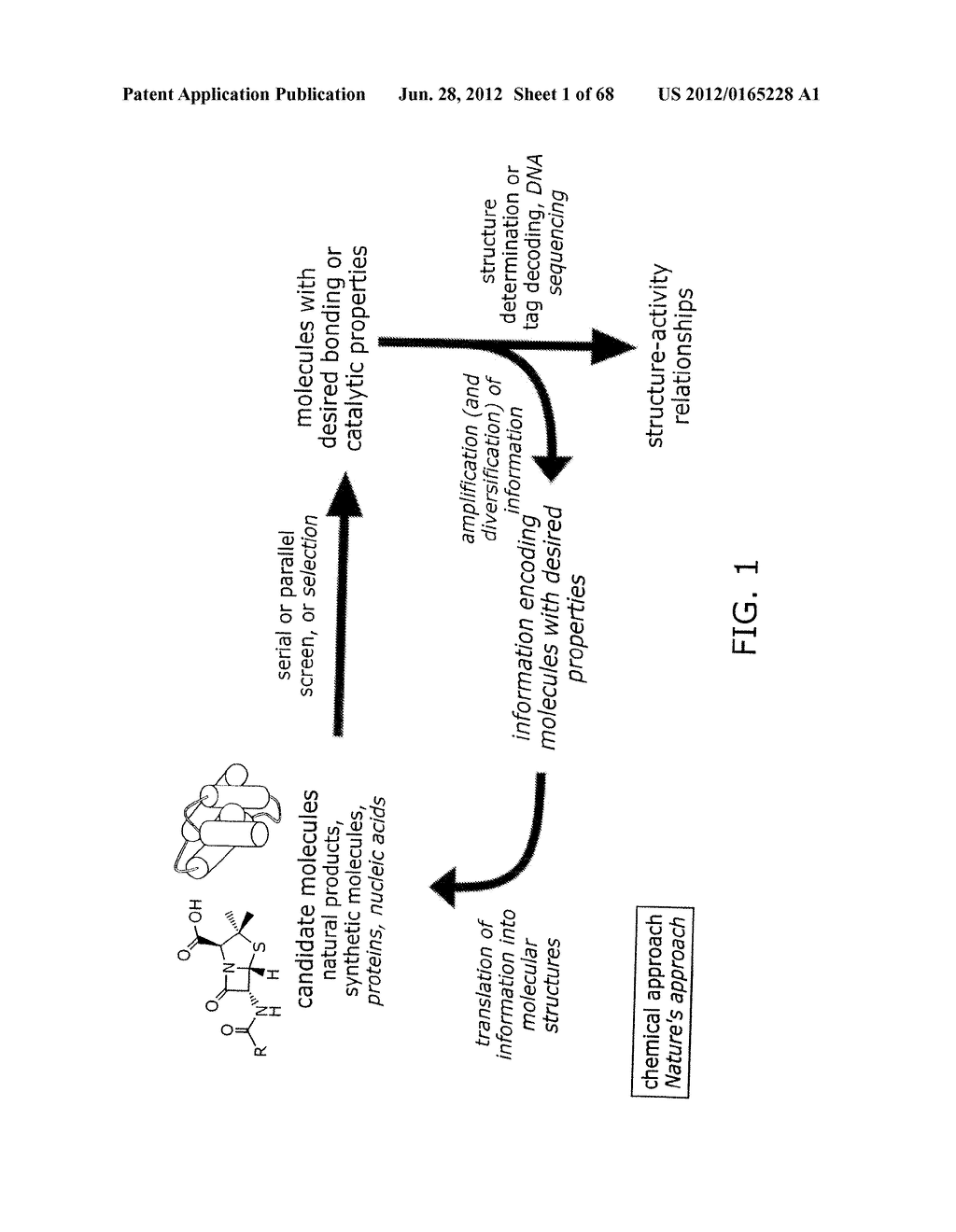 EVOLVING NEW MOLECULAR FUNCTION - diagram, schematic, and image 02