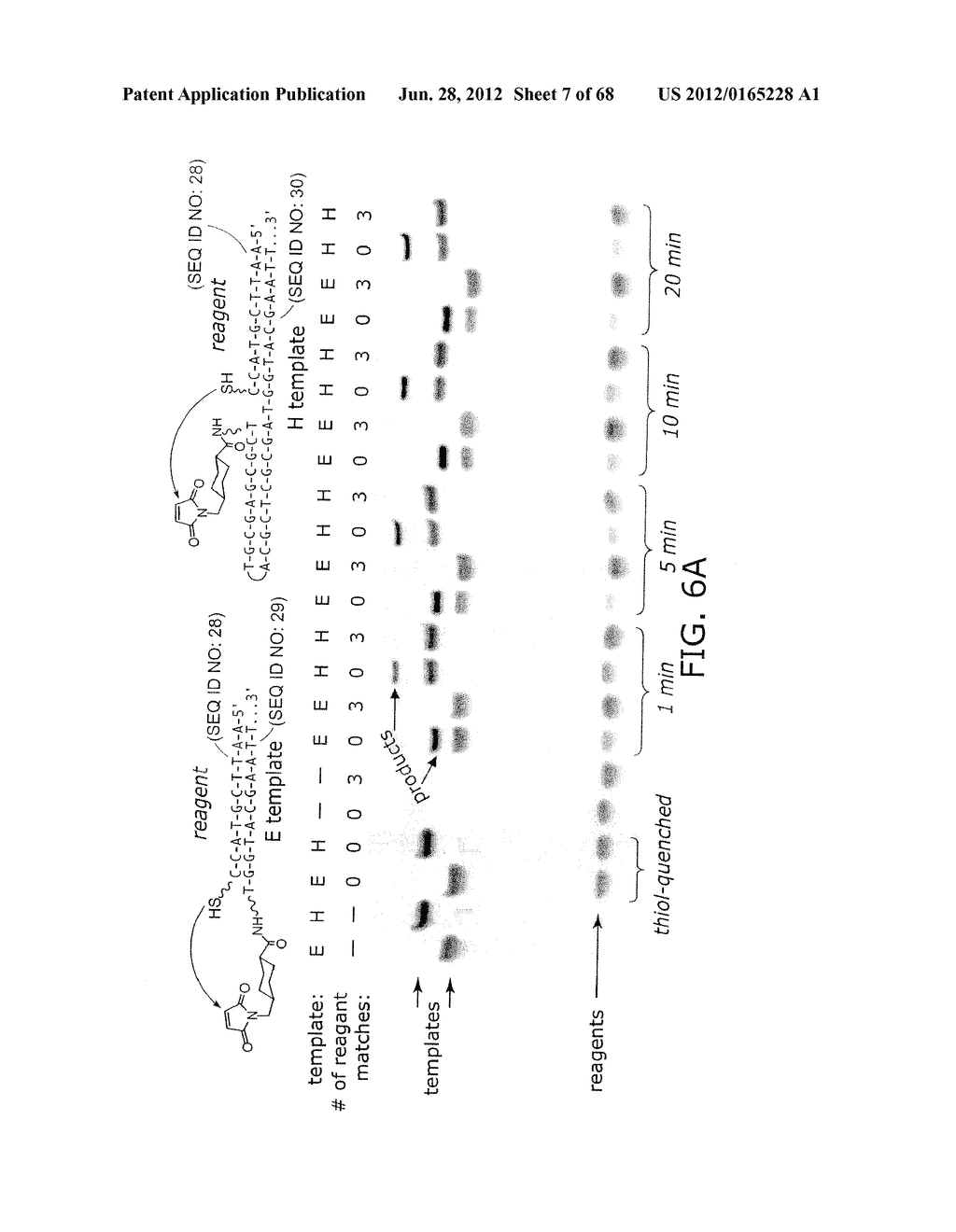 EVOLVING NEW MOLECULAR FUNCTION - diagram, schematic, and image 08