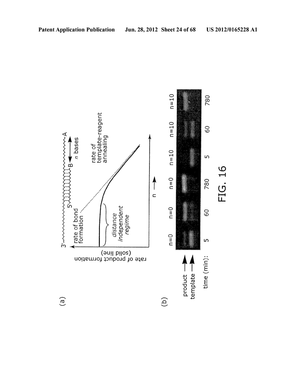 EVOLVING NEW MOLECULAR FUNCTION - diagram, schematic, and image 25