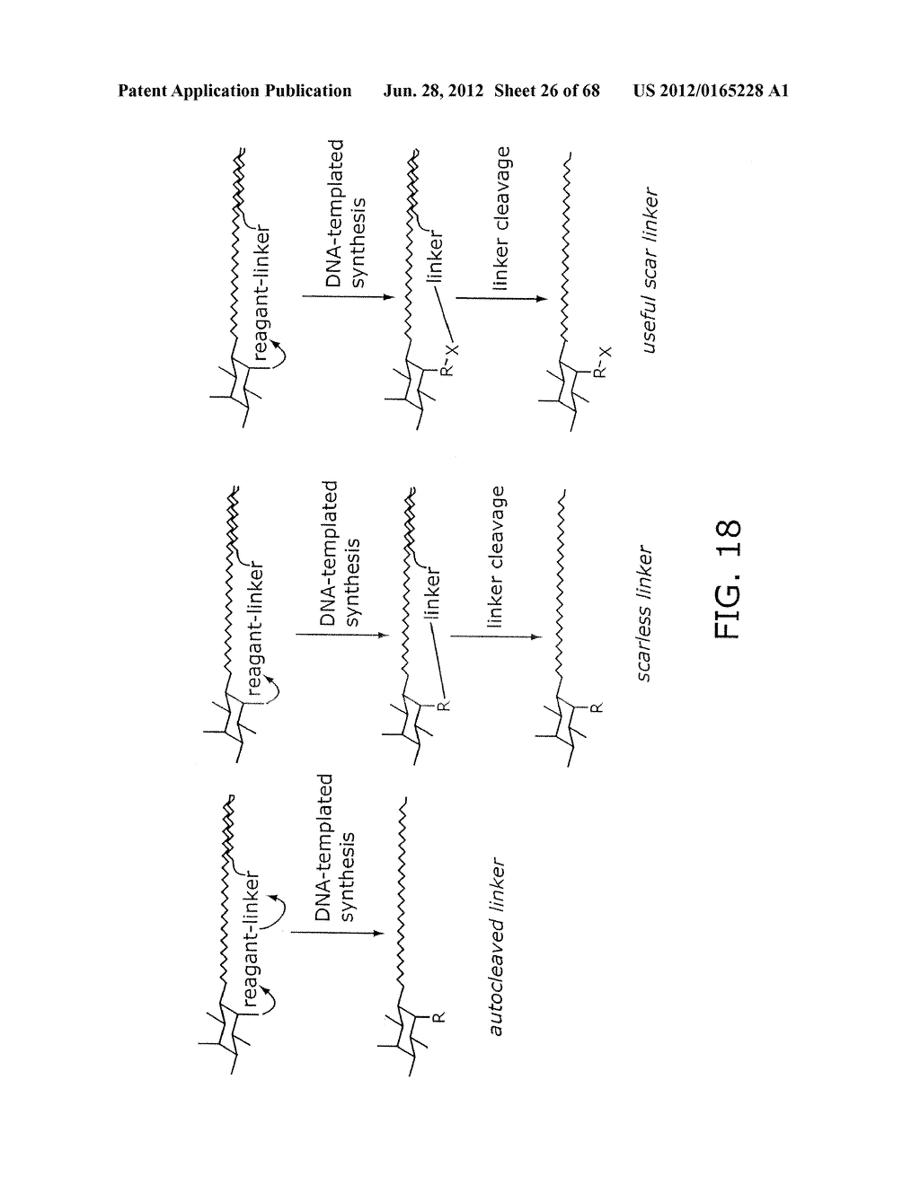 EVOLVING NEW MOLECULAR FUNCTION - diagram, schematic, and image 27