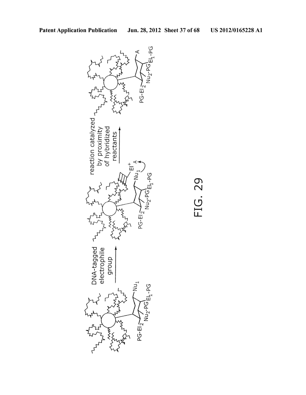 EVOLVING NEW MOLECULAR FUNCTION - diagram, schematic, and image 38