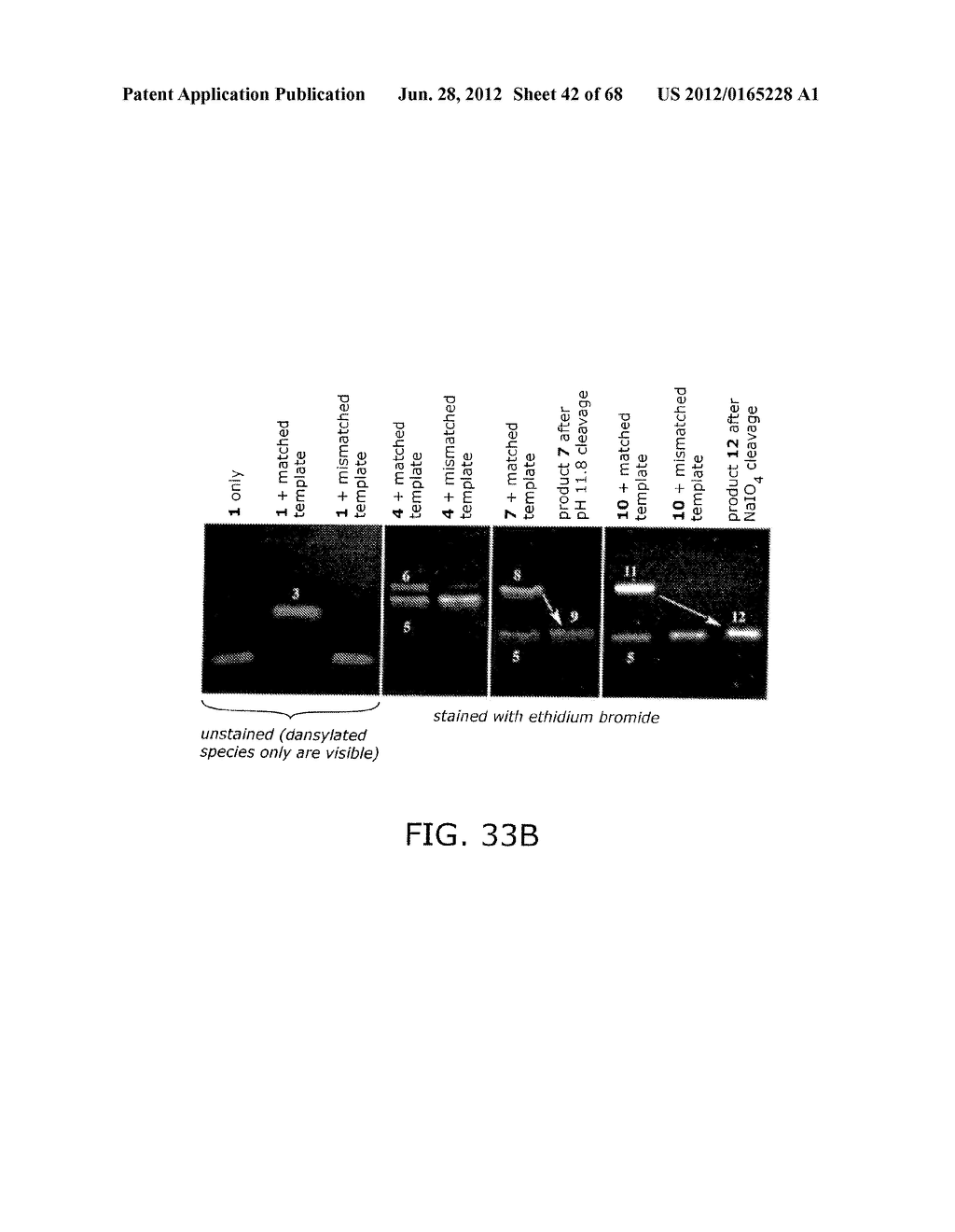 EVOLVING NEW MOLECULAR FUNCTION - diagram, schematic, and image 43