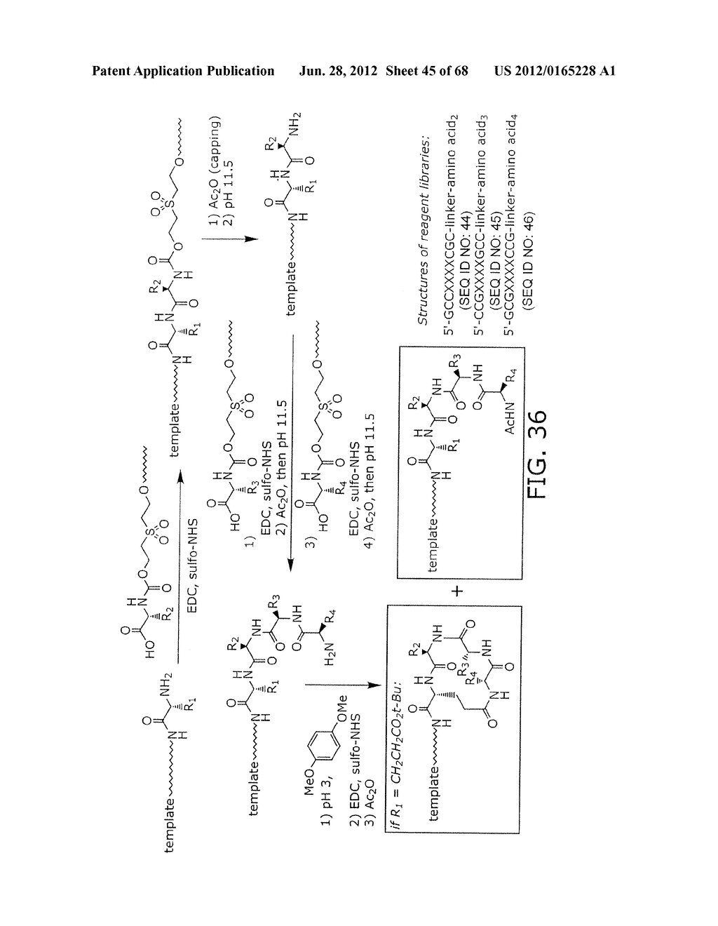 EVOLVING NEW MOLECULAR FUNCTION - diagram, schematic, and image 46