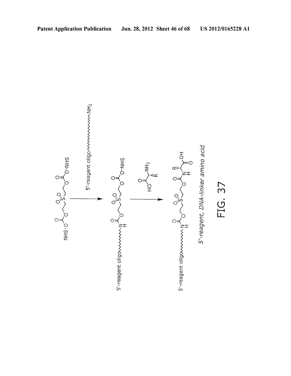 EVOLVING NEW MOLECULAR FUNCTION - diagram, schematic, and image 47