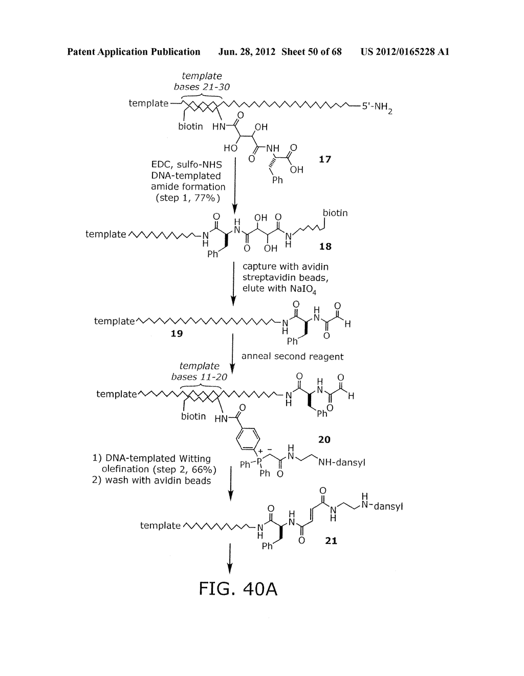 EVOLVING NEW MOLECULAR FUNCTION - diagram, schematic, and image 51