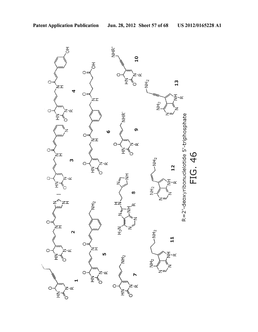 EVOLVING NEW MOLECULAR FUNCTION - diagram, schematic, and image 58