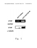 PHARMACEUTICAL COMPOSITION FOR INHIBITING PERITONEAL DISSEMINATION diagram and image